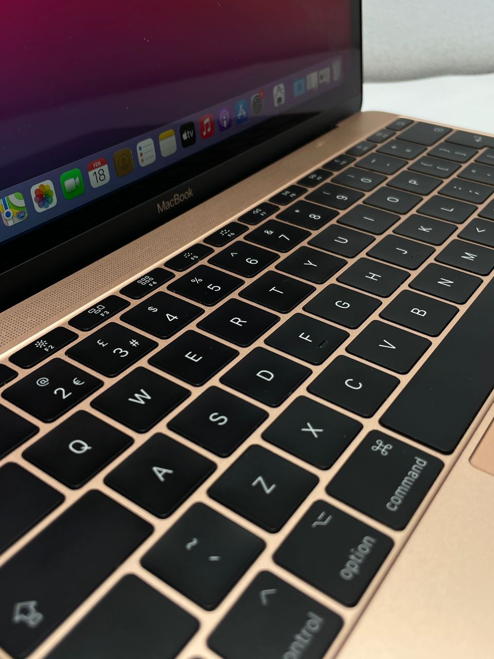 WhatsApp Image 2026-02-18 at 11.31.12 (2)