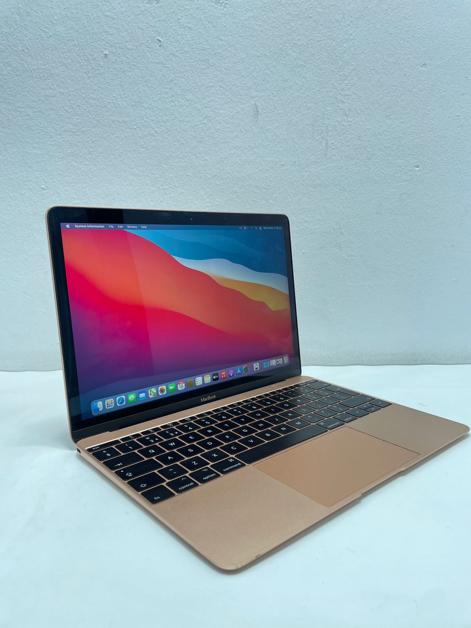 WhatsApp Image 2026-02-18 at 11.31.12